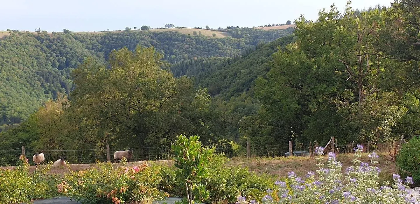 Villa Le Petit Suc Centres